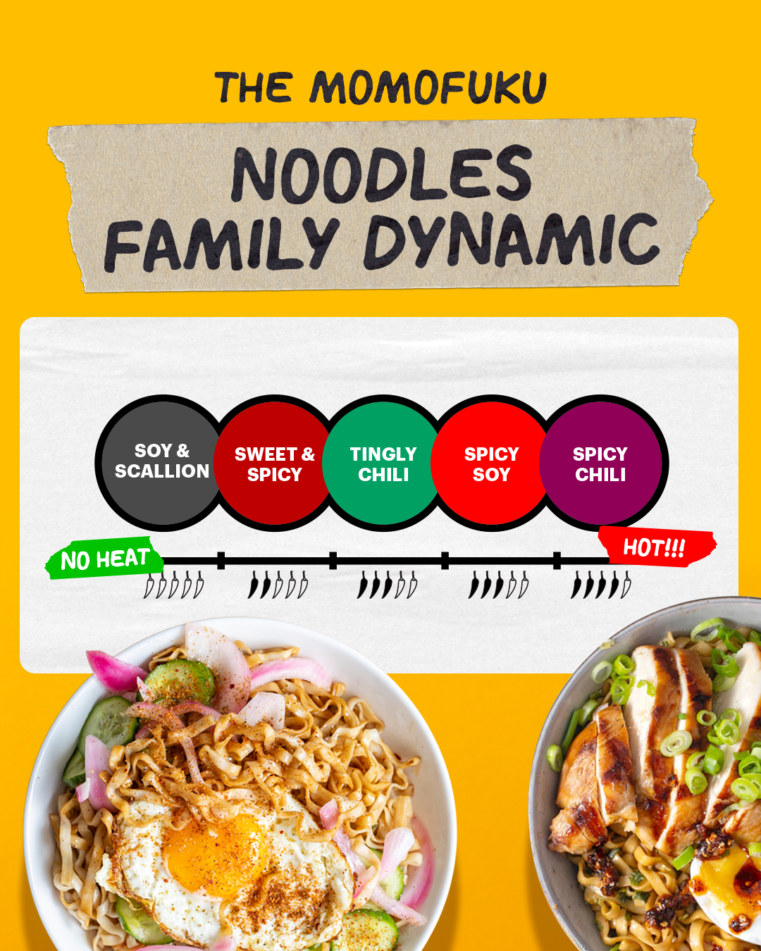 Noodle Starter Pack